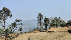 wonderful place