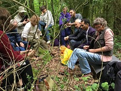 Dialogue in forest